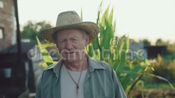 4K镜头微笑的玉米地老农的画像视频的预览图