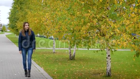 一个年轻的女人沿着城市公园的秋巷散步女孩走在秋日的桦树上视频的预览图
