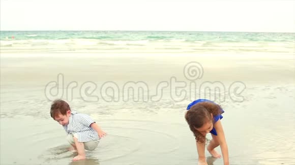年轻的家庭孩子兄弟姐妹在海洋海岸附近玩耍幸福的家庭沿着海岸散步视频的预览图