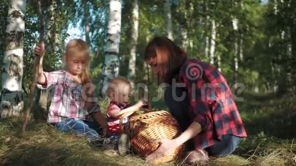 妈妈带着孩子去森林里采蘑菇视频的预览图