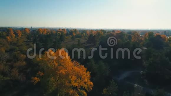 空中无人机镜头从秋天的森林飞到日落的河边视频的预览图