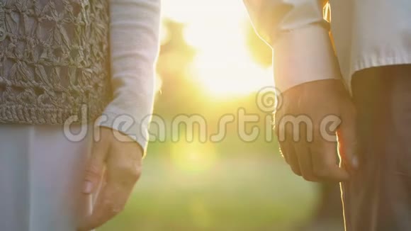 退休男子牵着女人的手在公园里浪漫的约会祖父母爱视频的预览图