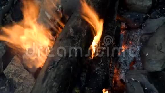 在火里烧柴火把火周围的脚加热视频的预览图