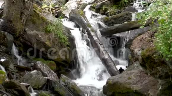 瀑布巨大的巨石和倒下的树木之间的水流4k视频的预览图