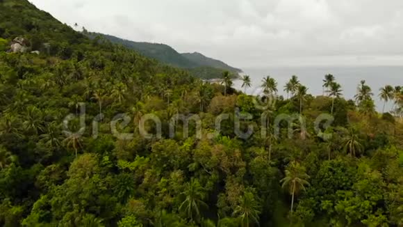 空中无人机俯瞰异国天堂热带海岸悬崖火山石覆盖着绿色丛林视频的预览图
