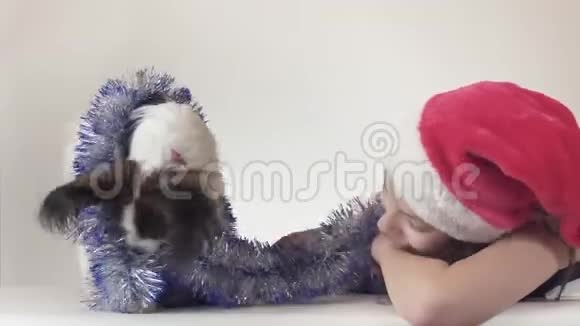 圣诞老人戴着圣诞老人的帽子戴着狗的美丽的少女在新年里他的小罐子快乐地玩耍视频的预览图