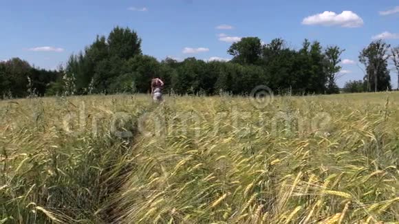 美丽的孕妇在夏天穿过成熟的黑麦地视频的预览图