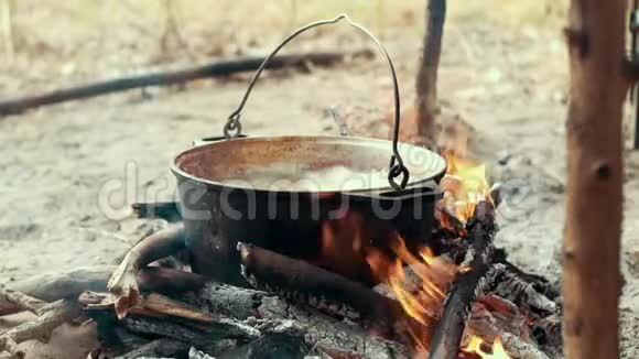 在篝火旁用旅游锅煮户外美食准备野营食品视频的预览图
