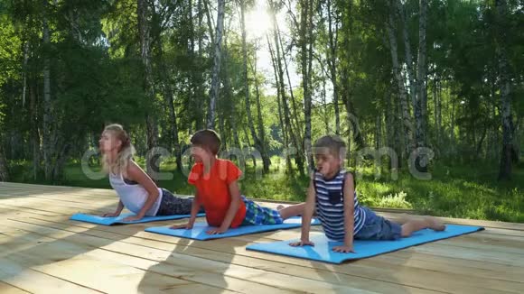 妈妈和两个孩子在户外做瑜伽视频的预览图