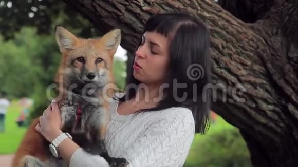 女人手中握着黑狐参与大自然的摄影视频的预览图