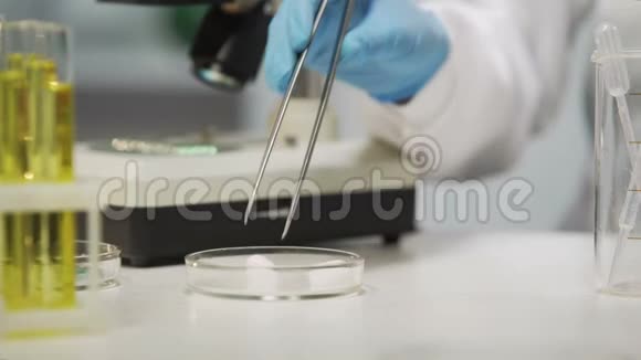 混合种族科学家在实验室做化学实验拿着管子视频的预览图