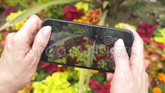 一个女人在她的智能手机上拍一张草坪的照片上面有多种颜色的植物用于社交网络博客4k视频的预览图