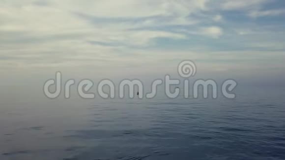 空中4k镜头接近帆船浮标与海鸥在碧海中摆动视频的预览图