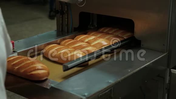 切割面包的机器视频的预览图