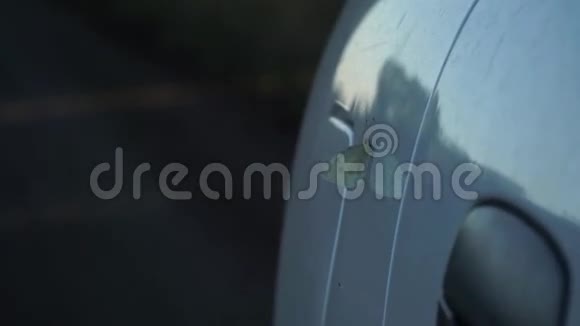 蝴蝶坐在车上视频的预览图