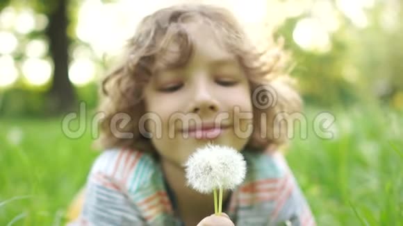 一个快乐的孩子躺在夏天的草地上手里拿着一朵花一个卷发男孩吹在蒲公英上儿童日视频的预览图