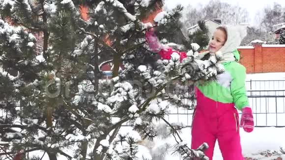 有趣树雪妈妈摇着树雪落在小女孩身上她对此感到惊讶和非常情绪化视频的预览图