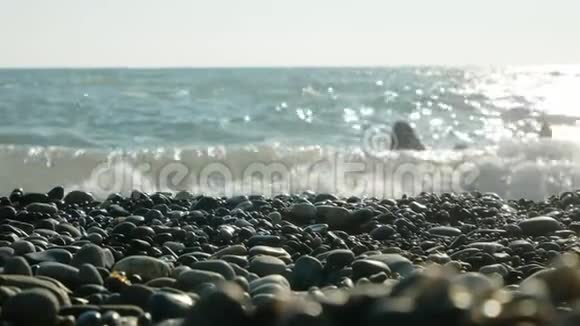 海岸上的一只麻雀吃被扔到岸上的藻类4k特写视频的预览图