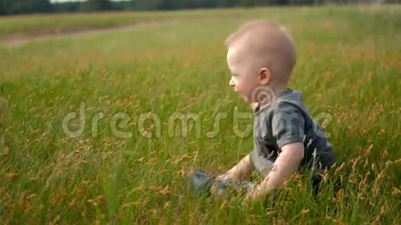小男孩坐在草地上撕下青草夏天快乐的小男孩在绿野上玩草视频的预览图