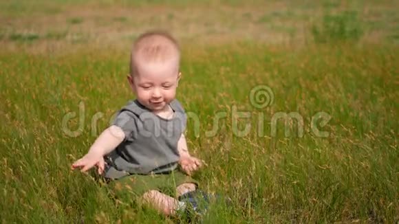 小男孩坐在草地上撕下青草夏天快乐的小男孩在绿野上玩草视频的预览图