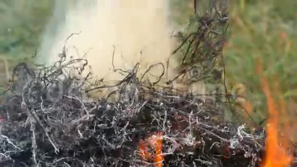 燃烧干草或干草这是吸烟火灾和自然保护问题视频的预览图
