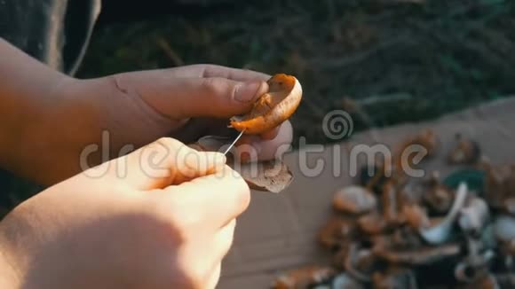 一个少年的手把蘑菇串在绳子上晾干秋收蘑菇视频的预览图