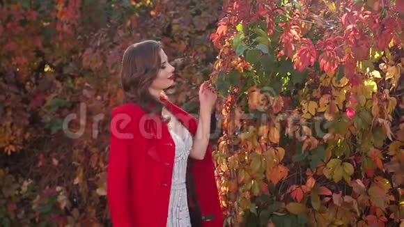 一幅美丽的女孩穿着裙子穿着红色外套在秋天公园里的肖像视频的预览图
