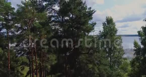 松湖无人驾驶飞机飞行风景自然空中森林蓝色松树背景美丽视频的预览图