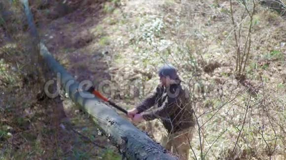 那个人在森林里用斧头砍树把路堵住了视频的预览图