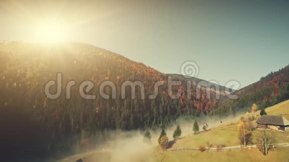 阳光明媚的野生动物高原薄雾斜坡鸟瞰视频的预览图