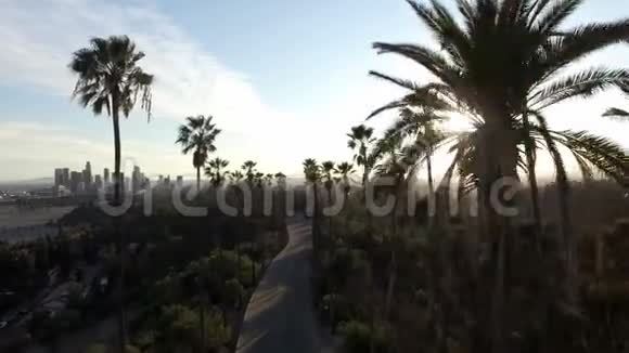 太阳在洛杉矶的无人机夹里透过手掌照耀视频的预览图