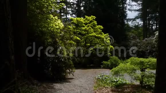 阿斯恩花园一条砾石小径环绕着一个充满绿色浮萍的池塘视频的预览图