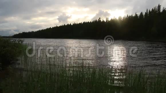 日落前的湖和森林视频的预览图