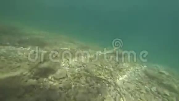 在水下射击晶莹剔透的水完全透明视频的预览图