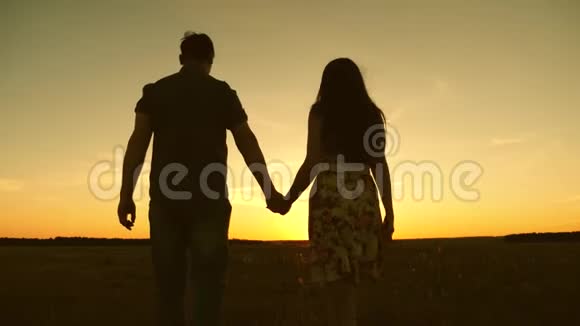恋爱中的年轻夫妇牵着手穿过田野女孩和男人去看日落幸福的家庭散步视频的预览图