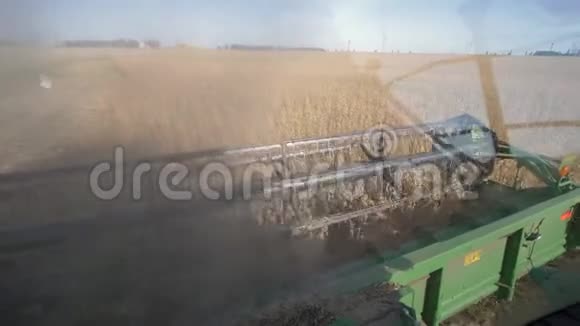大豆作物农业设备在秋季进行粉尘和成熟大豆的收获视频的预览图