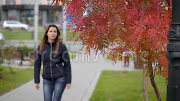一个年轻的女人沿着城市公园的秋巷散步慢动作60fps那个女孩走在秋天之间视频的预览图