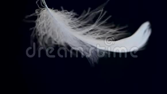 白色羽毛在黑色背景上闪烁视频的预览图