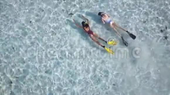 两名游泳运动员正在研究热带岛屿周围的沙质海底阳光明媚的一天视频的预览图