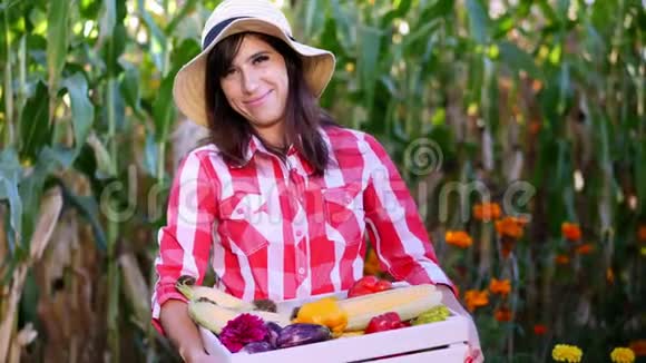 微笑的女农民穿着格子衬衫手套和帽子拿着一盒不同的新鲜蔬菜收获背景视频的预览图