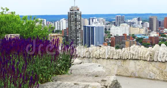 加拿大汉密尔顿的场景市中心前面4K有花视频的预览图