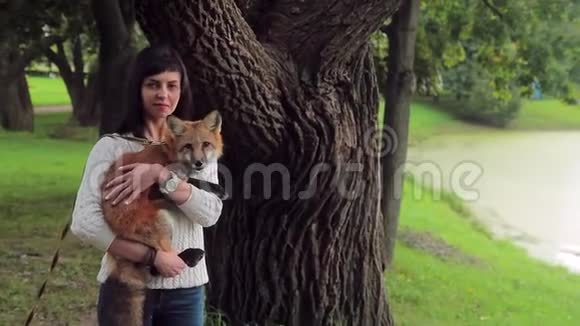 迷人的女士抱着狐狸站在绿色公园在夏天视频的预览图