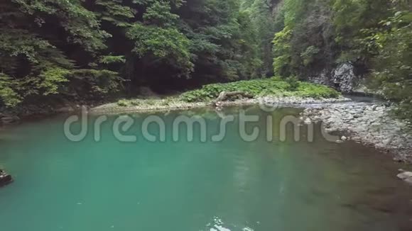 从蓝色的水的无人机河池观看森林中的河流水流视频的预览图