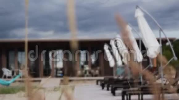 阴天时芦苇在棕色海滩度假村模糊的背景下飞舞视频的预览图
