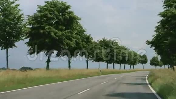 德国有树木的道路视频的预览图