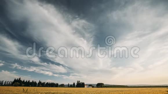 加泰罗尼亚西班牙夏季傍晚的天空之上西班牙农村的麦田景观日落时分的黄麦视频的预览图