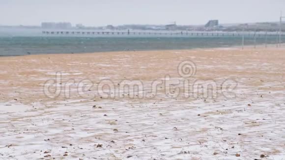 冬天的雪在海沙滩上背景是沿海城镇视频的预览图