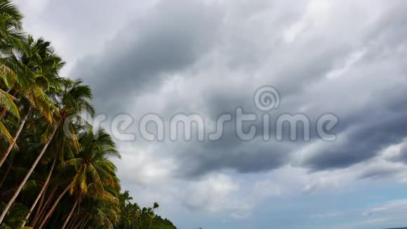 棕榈树上空的云视频的预览图
