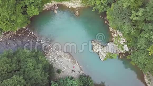 山清水秀的夏日森林视频的预览图