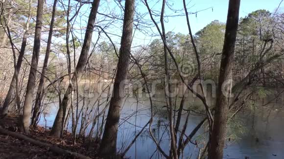 佐治亚州索普溪小径在索普溪小径附近的树上有一个冰冻的池塘视频的预览图